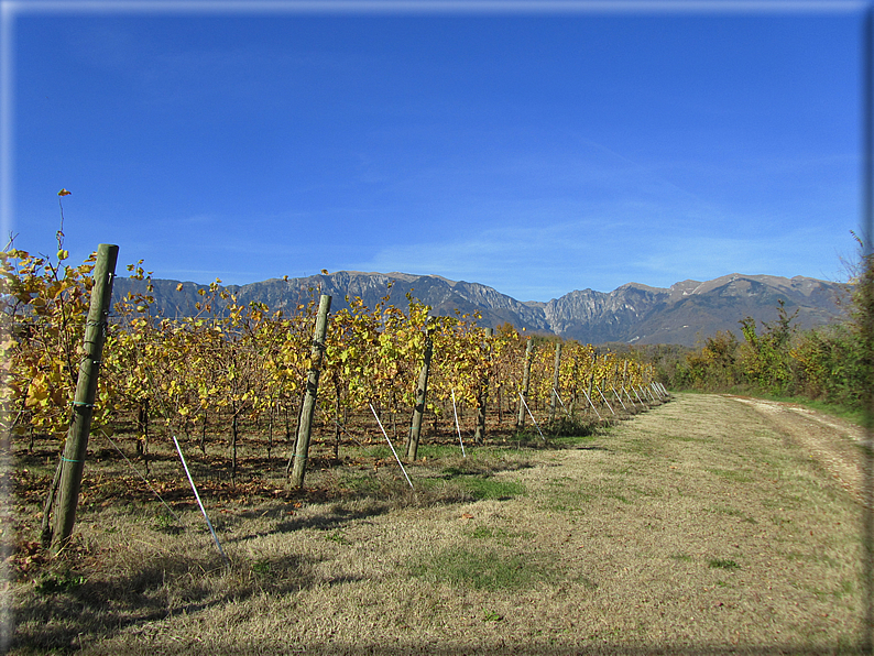 foto Alle pendici del Monte Grappa in Autunno